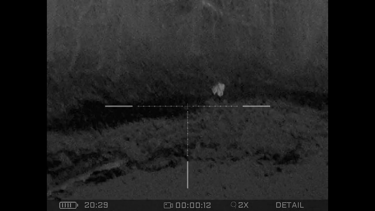 Getting a fox at 190m with Senopex DOT S7 LRF