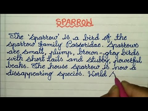 Short Essay on 'Sparrow' (100 Words) // Sparrow Paragraph in English ✍