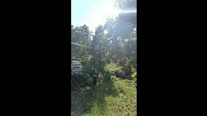 Banyak Petani Gagal panen gara-gara satu hal kecil ini. Kamu Wajib Tahu - Expert Alpukat