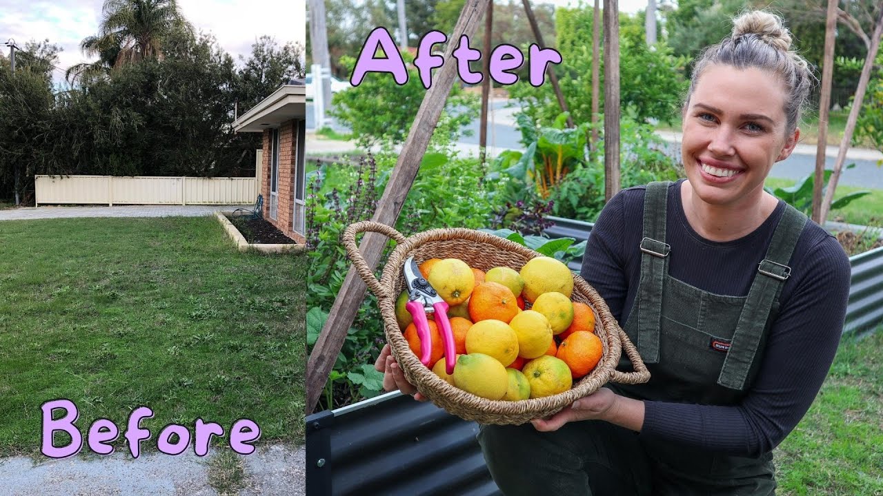 From Grass To Productive Edible Gardens How Much Did It Cost For My