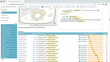 Homology modelling using SWISS MODEL web server