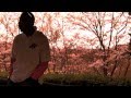 HINO / SAKURA 2011 PV