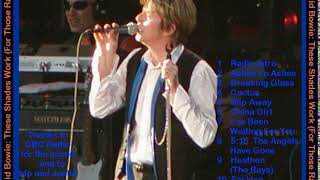 David Bowie Area 2 Festival Toronto august 5th 2002 RADIO BROADCAST ( audio )