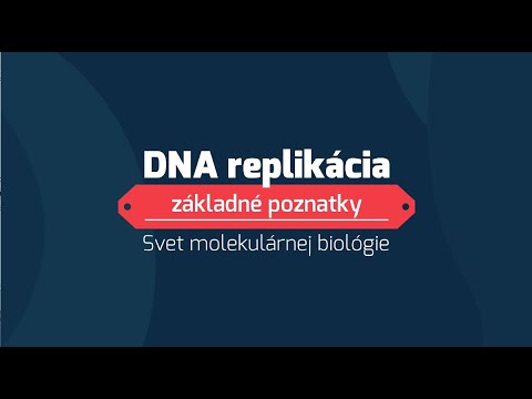Video: Razlika Između DNA I Kromosoma