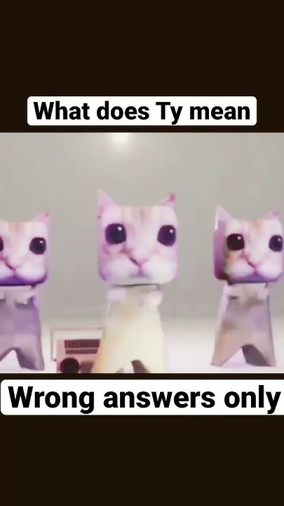 What Does Ty Mean Wrong Answers Only YouTube what-does-ty-mean-wrong-answers-only-youtube