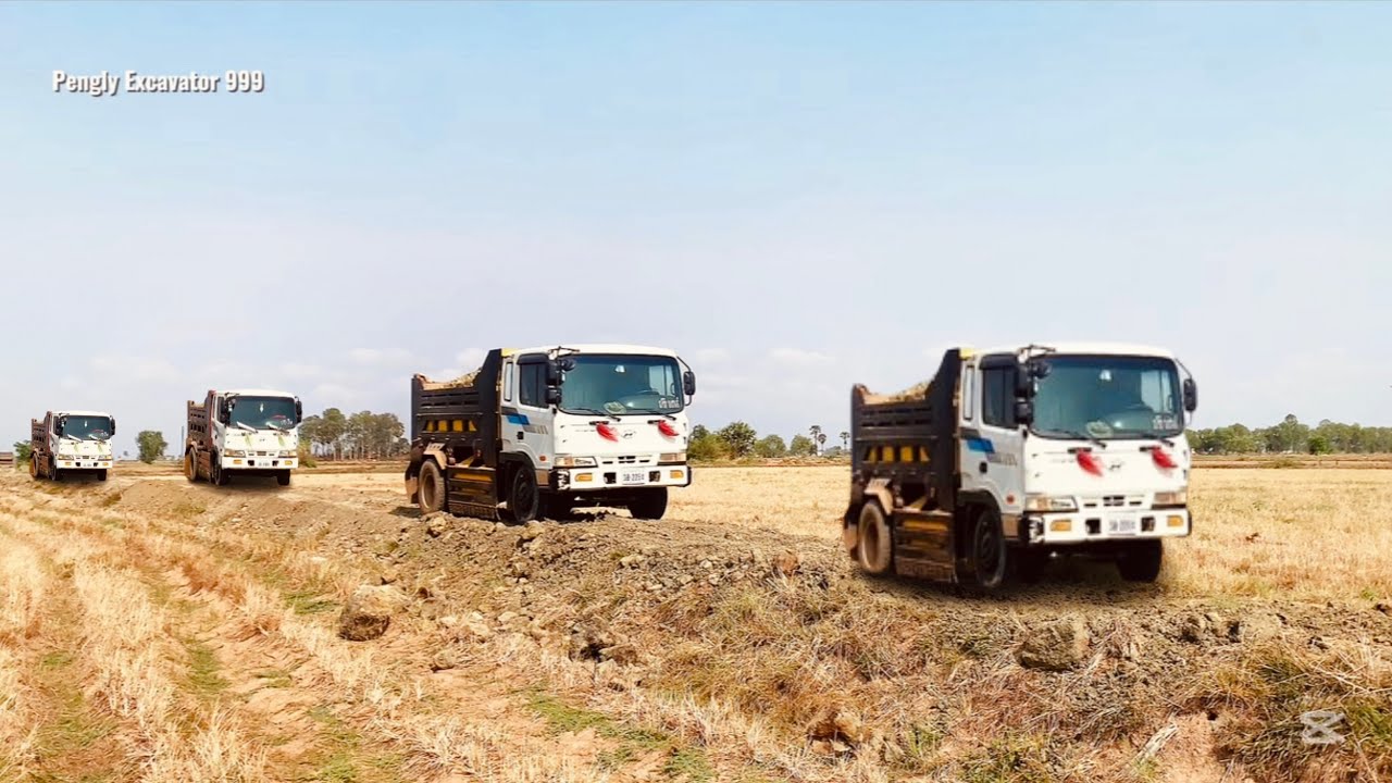 The activity of earthmoving trucks repairing the road to the rice fields near the planting season .