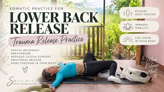 Lower Back Trauma Release | Somatic Practice to Release Stored Stress