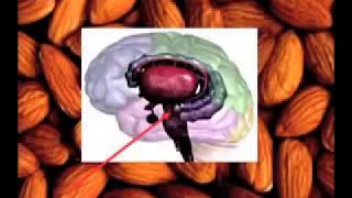~~ Mark Robert Waldman ~ MY BRAIN ON GOD ~!~