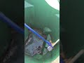 #garbagebin