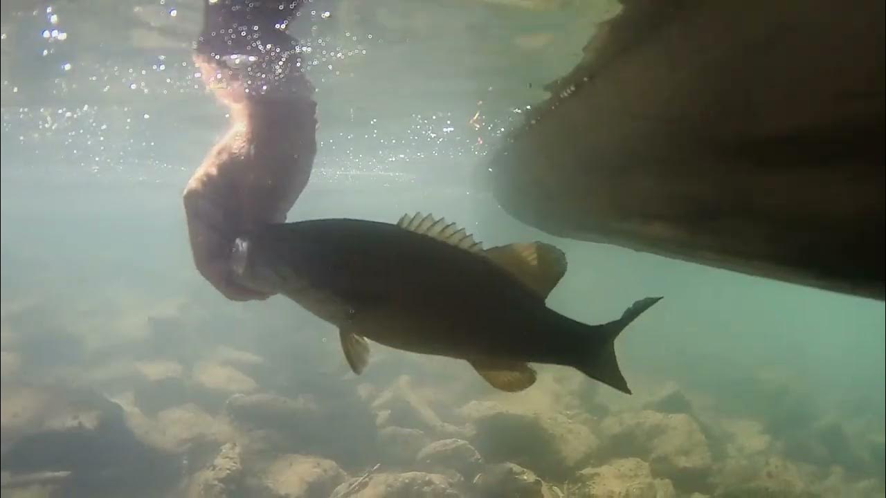 Niangua River Float Trip Spring to Big Bear River Resort YouTube