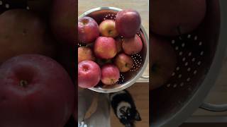 quick version of homemade apple cider