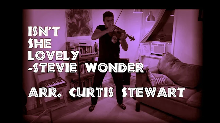 Isn't She Lovely - Stevie Wonder - Solo Violin