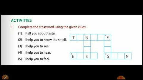 Class 1 Chapter 3 My sense organs (Activity)