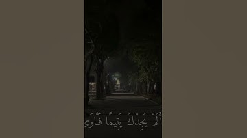 سورة الضحى (ولسوف يعطيك ربك فترضى)#المصحف #اكسبلور #الرحمن #تيك_توك #ماهر_المعيقلي