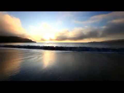 ما سبب حرمان العبد من الطاعات كلام رائع للشيخ محمد الشنقيطي