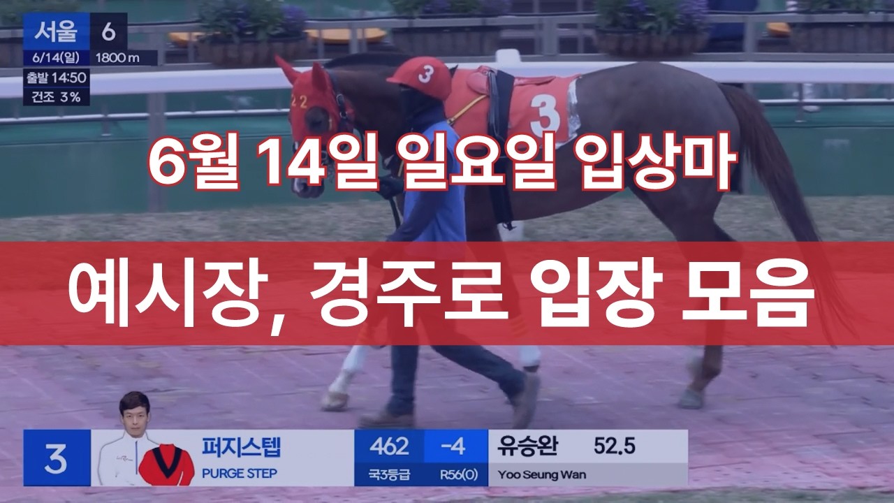 [6월 14일 일요일 입상마] 예시장, 경주로 입장 모음