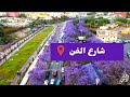 شارع الفن ابها