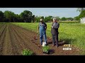 Garden Spot: Planting the ingredients for salad
