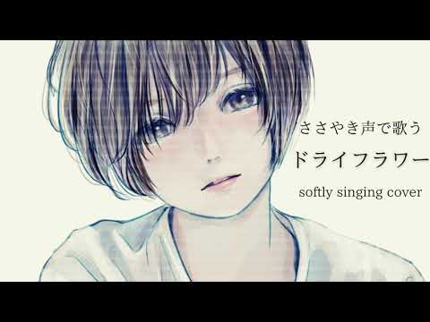 【ASMR子守唄】 ドライフラワー 耳元でやさしく歌ってみた【おやすみ前に】