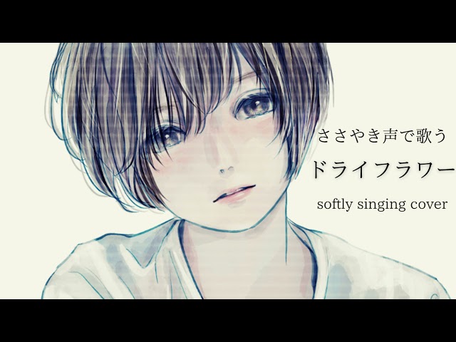 【ASMR子守唄】 ドライフラワー 耳元でやさしく歌ってみた【おやすみ前に】