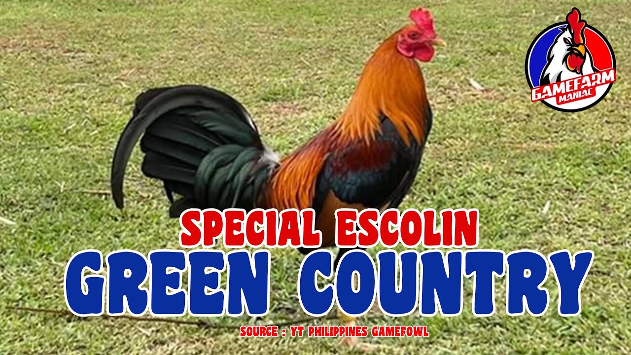 SPECIAL ESCOLIN | Green County Gamefarm