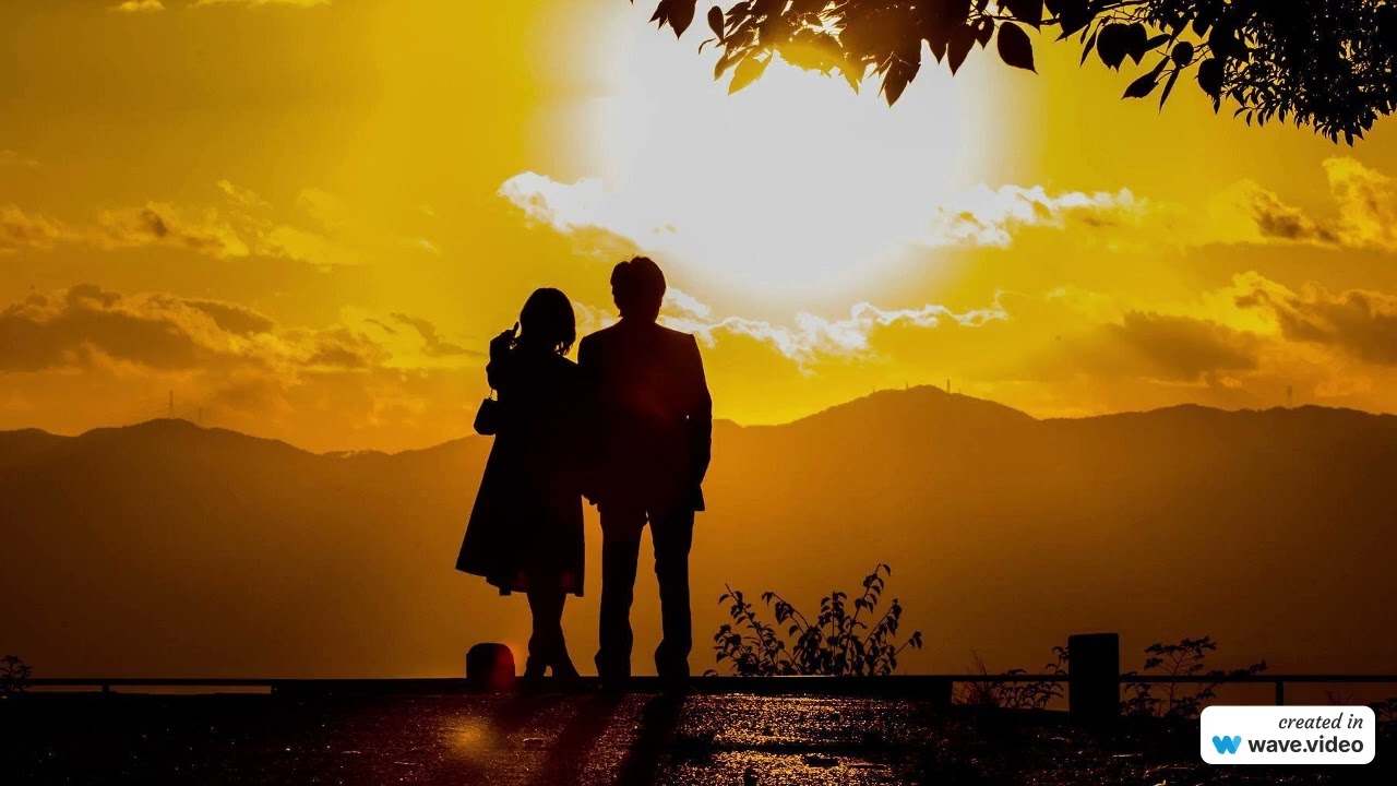 Наши летние дни - Аркадий Золотаревский