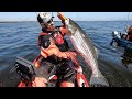 EPIC JUMBO STRIPER FISHING (Part 1)