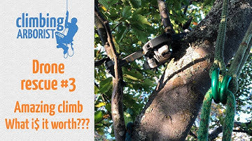 Drone rescue #3 - An awesome tree & some easy $$$