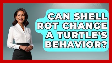 Can Shell Rot Change A Turtle