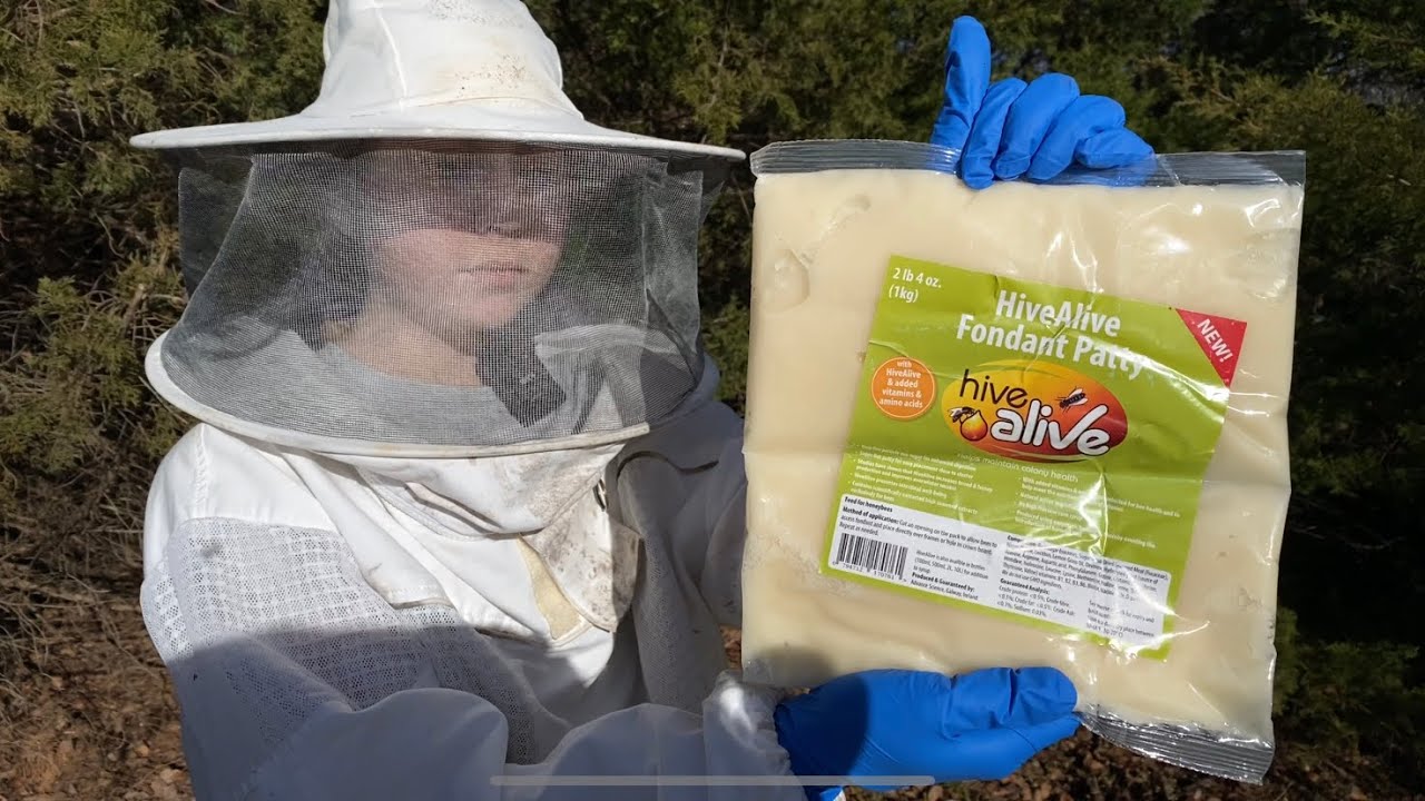 Testing Some Fondant for Supplementing Winter Bees 🐝