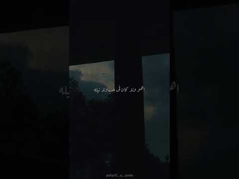 Donia Wael El Waili X SeLTa Cover Bekya حالة وتس 