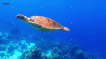 Vegas Movie Studio 16