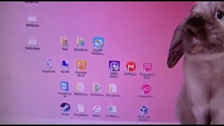 Sky3Ds Work Fine With Microsd 64Gb Format Fat32 And Cluster Size 64Kb