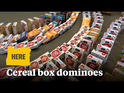Southern Oregon elementary school topple cereal boxes like dominoes in world-record attempt