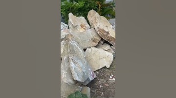 Đá non bộ - Đá cổ thạch vân xanh Tại bãi Bình dương