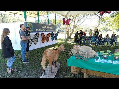 Dia Mundial do Meio Ambiente tem palestras no Parque Natural de Pouso Alegre