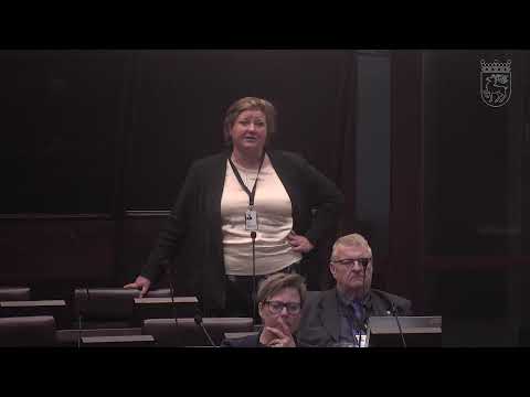 Plenum den 29