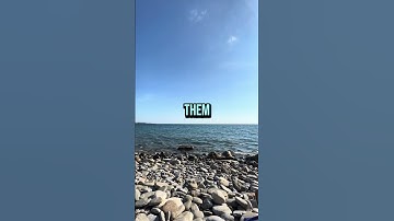 How To Ease Symptoms: ME/CFS, Fibromyalgia, Long Covid