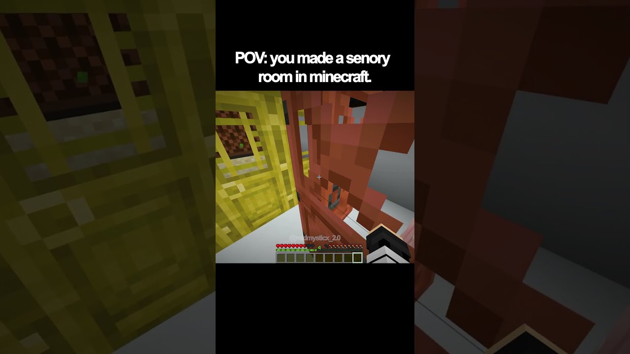 POV You Made A Senory Room In Minecraft
