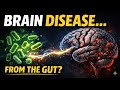Inside the Gut–Brain Axis: A New Clue to Neurological Disorders
