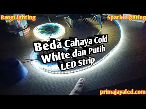 Beda Cahaya Cold White dan Putih LED Strip. 