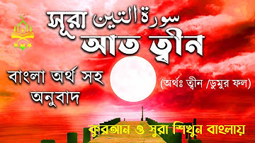 95) সুরা আত তীন سورة التين বাংলা অর্থ সহ অনুবাদ Sura At Tin Bangla Meaning সুরা শিখুন বাংলায়