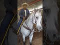 Guadalupe Lara Romero Arrendador de caballos