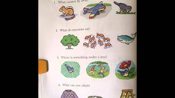 Unit 3   Lesson 3   Part 2 Video