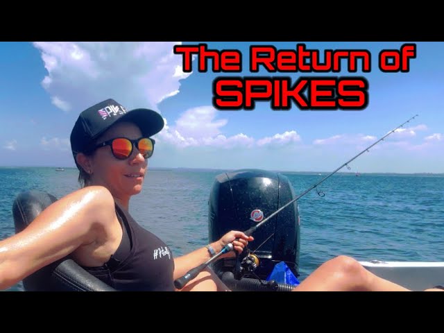 Back in Action: Epic Fishing Adventure After 4-Week Break - Fish