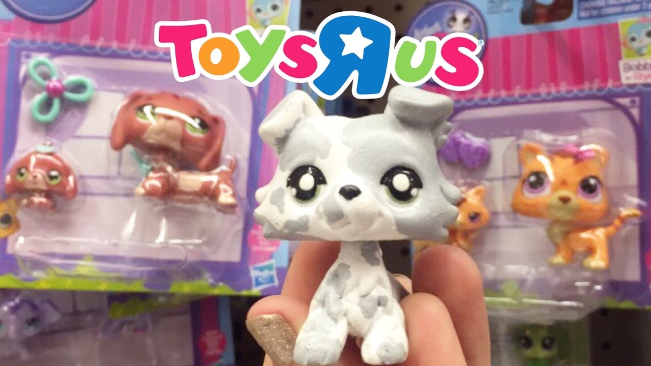 Lps Dachshund At Toys Us Haul YouTube