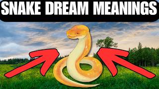 2 snake dream meanings in under 1 minute