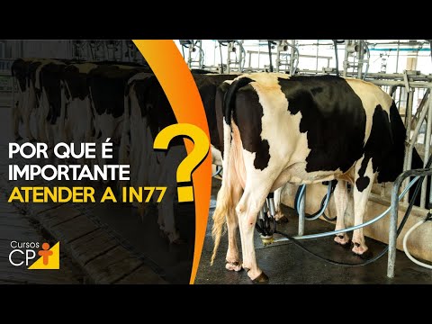 Torne seu leite seguro para consumo - Implemente a IN 77 