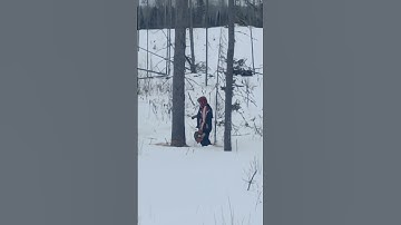 Tree almost hits Snowmobile