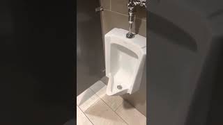 Fairchild Cinemas Queensgate 12 in Men’s Restroom